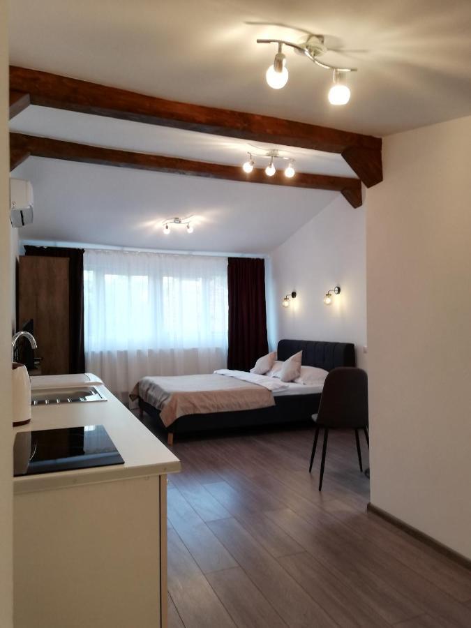 Cara Studio Cu Parcare - Cluj-Napoca Zona Republicii Exteriér fotografie